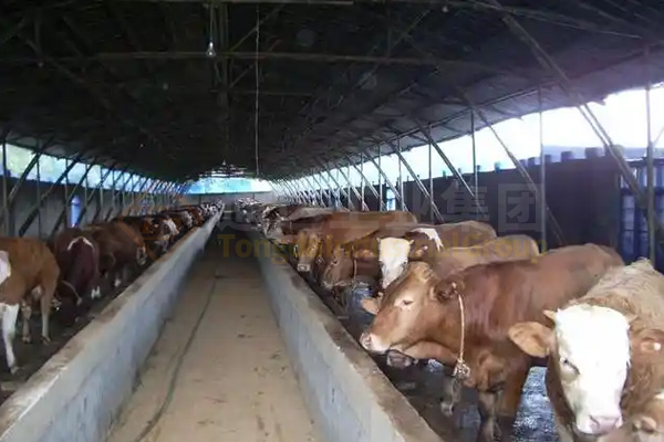 奶牛糞便制肥處理機(jī)械設(shè)備廠家