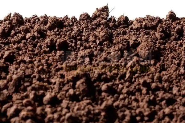 蚯蚓吃秸稈牛糞豬糞解決環保，蚯蚓糞制成有機肥料創富生財